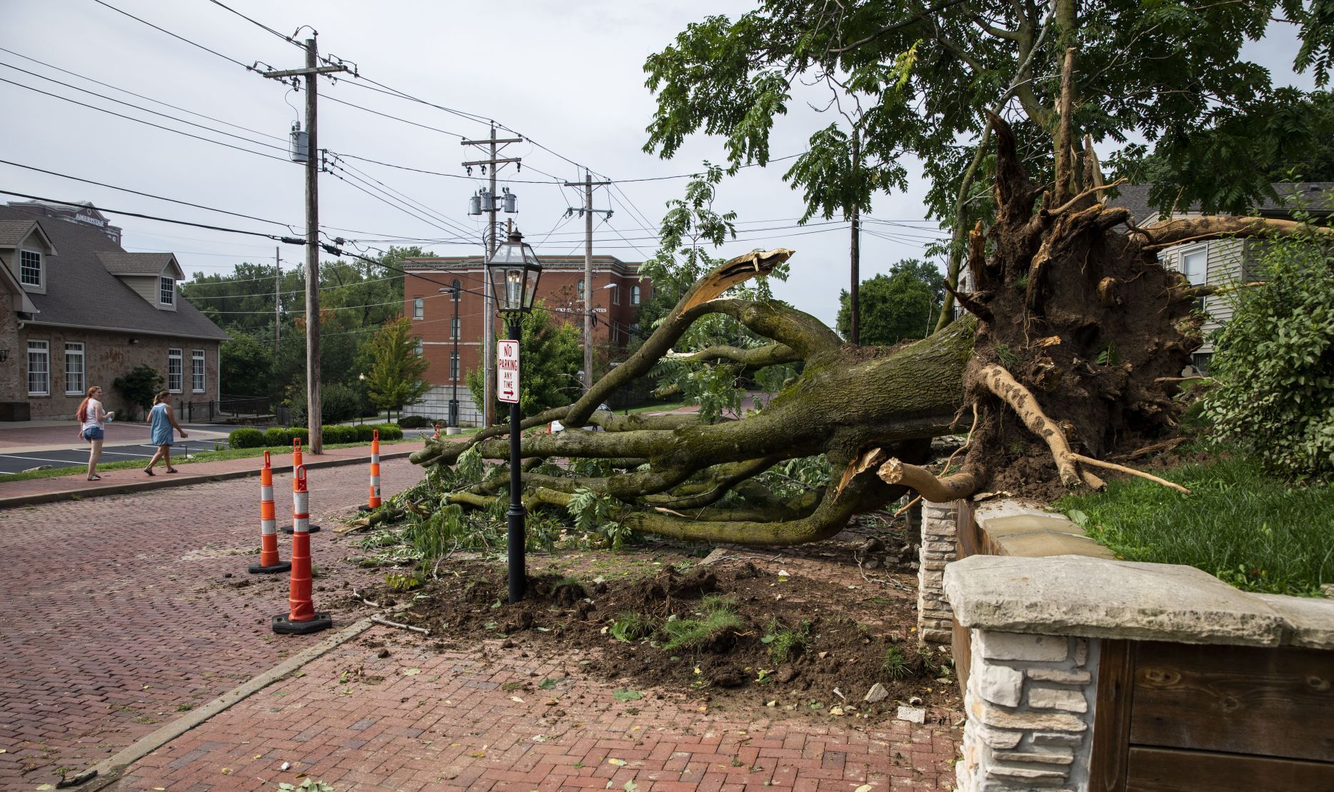 Trees damaged and toppled in St. Charles
